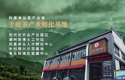 千庭茶產業孵化基地